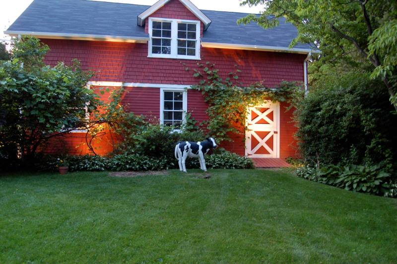 Buttercup, in happier times.