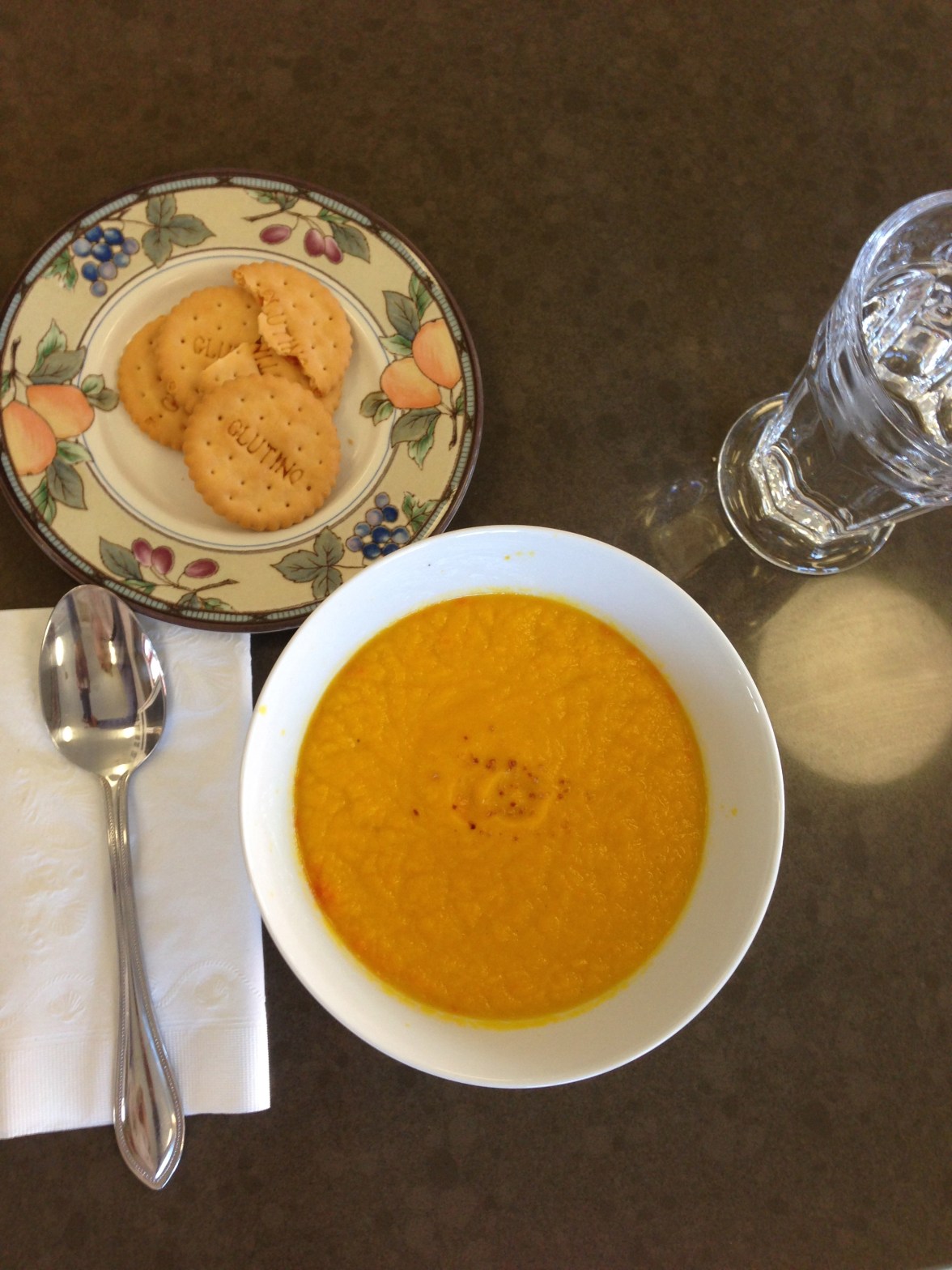Anita's Pro 750 Carrot-Orange Soup