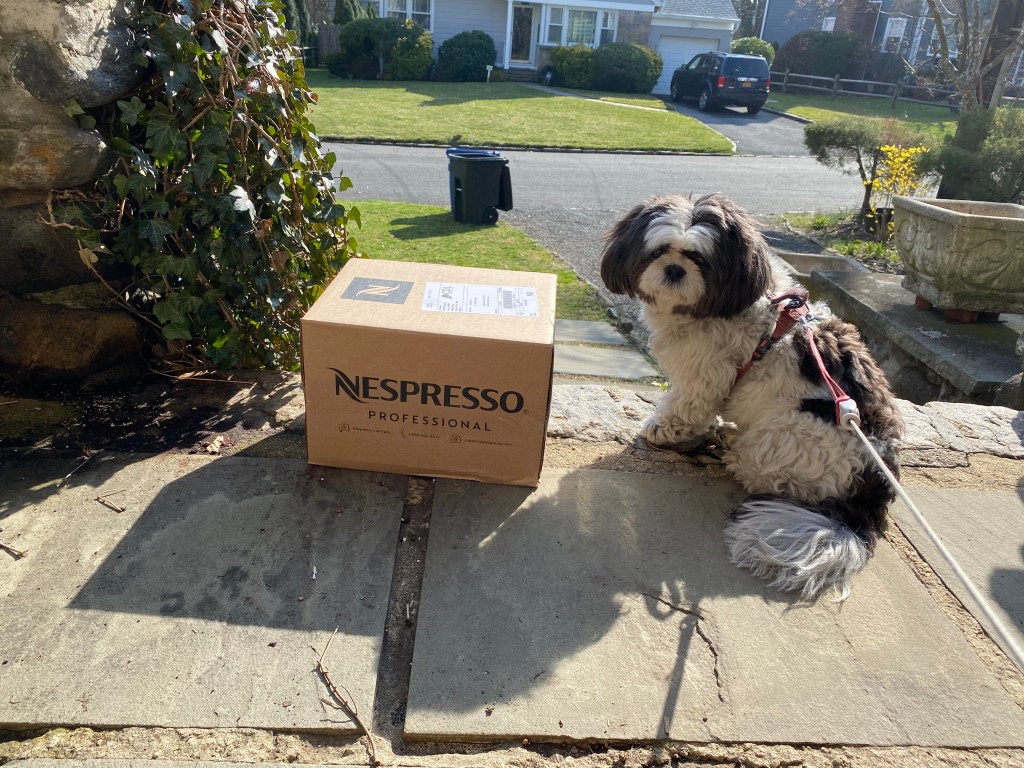 Assessing My Needs in the&nbsp;CZ